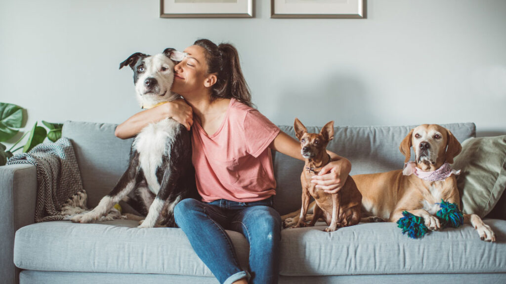 3 pets and owner on a couch